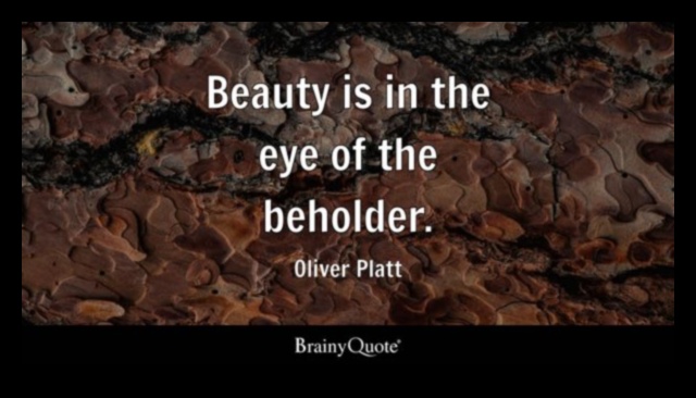 Infinite Beauty: Discovering Timeless Allure in Landscapes Unveiled