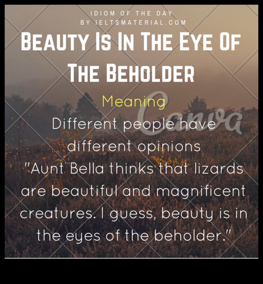 Infinite Beauty: Discovering Timeless Allure in Landscapes Unveiled