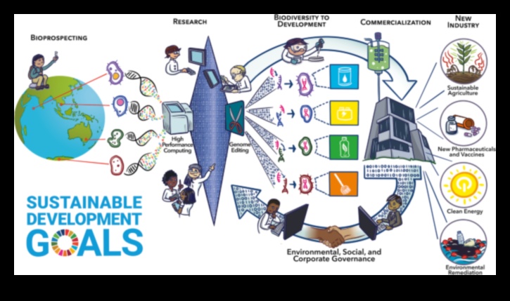 Diversity Hotspots: Biodiversity Conservation Areas Discussed