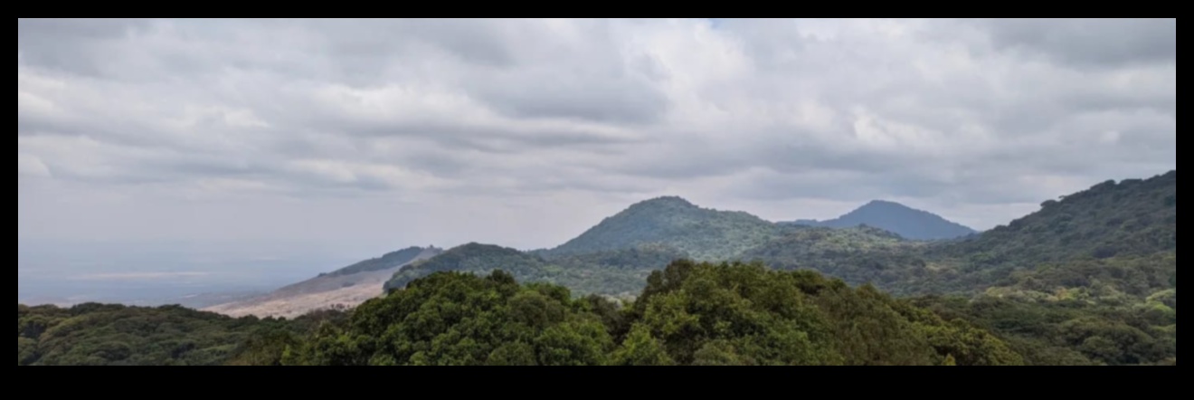 Treasures of Biodiversity: Conservation Areas Worldwide