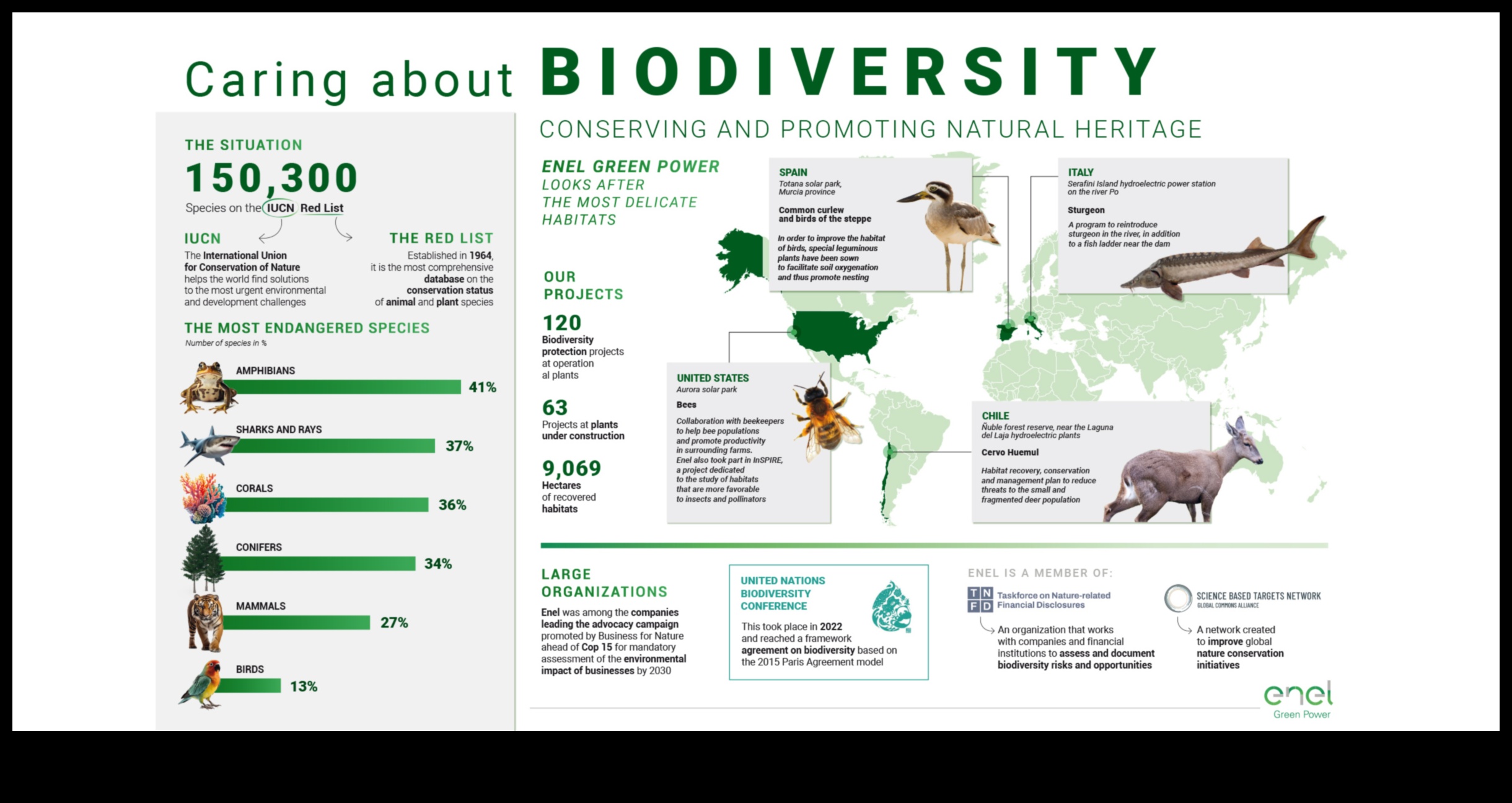 Treasures of Biodiversity: Conservation Areas Worldwide