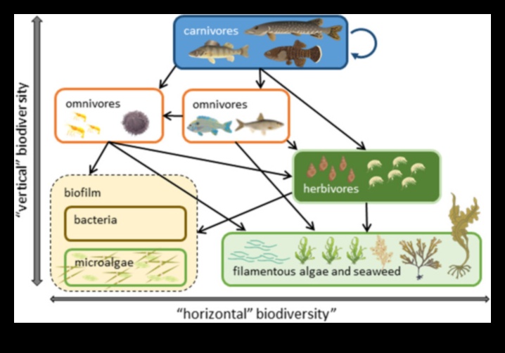 What role does biodiversity play in creating resilient landscapes?