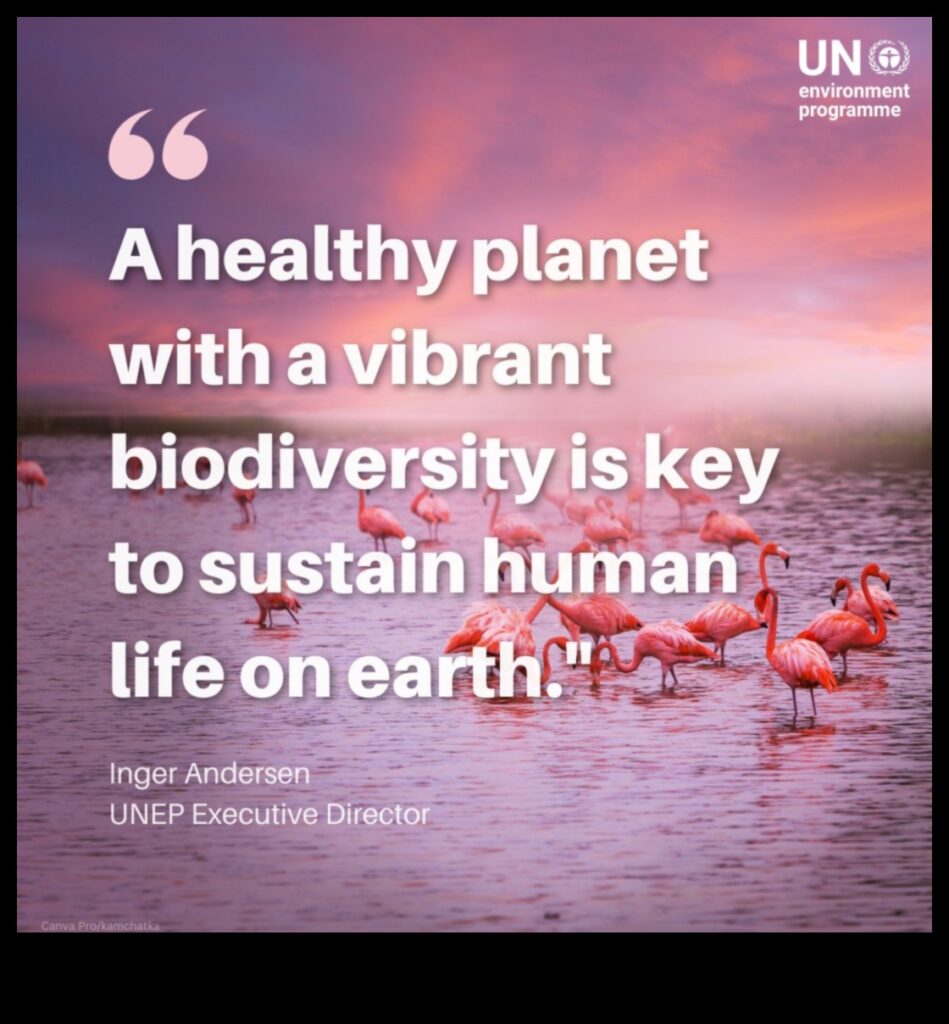 Biodiversity The Key to a Healthy Planet 1