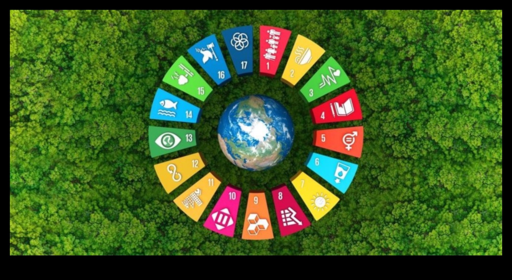 Rainforest Riches: Biodiversity in Lush Landscapes