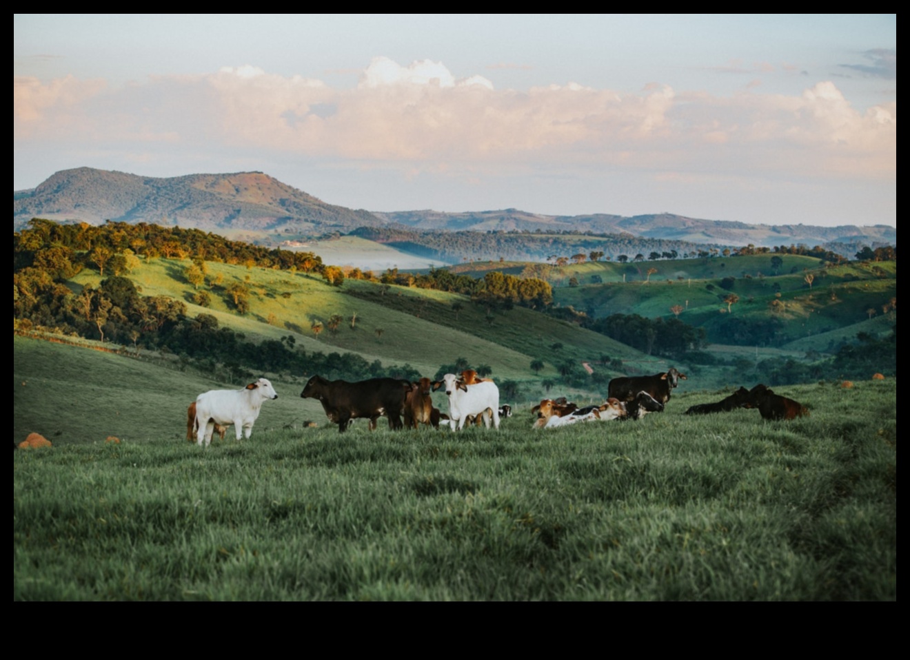 How do different ecosystems contribute to the biodiversity of landscapes?