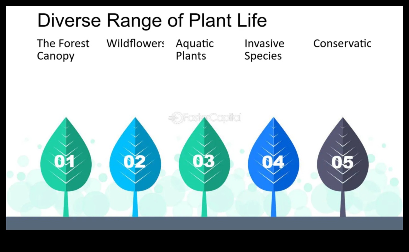 How do different water features contribute to the aquatic biodiversity of landscapes?
