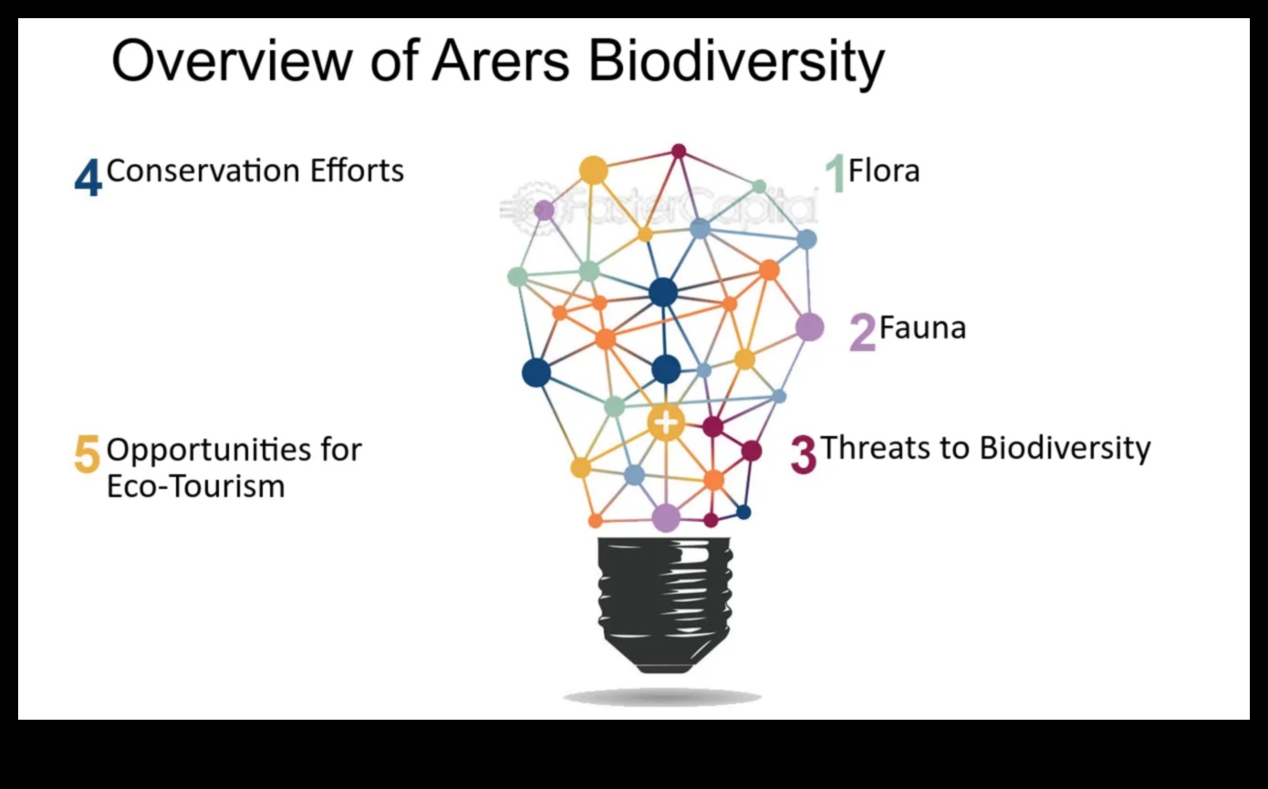 How do different water features contribute to the aquatic biodiversity of landscapes?