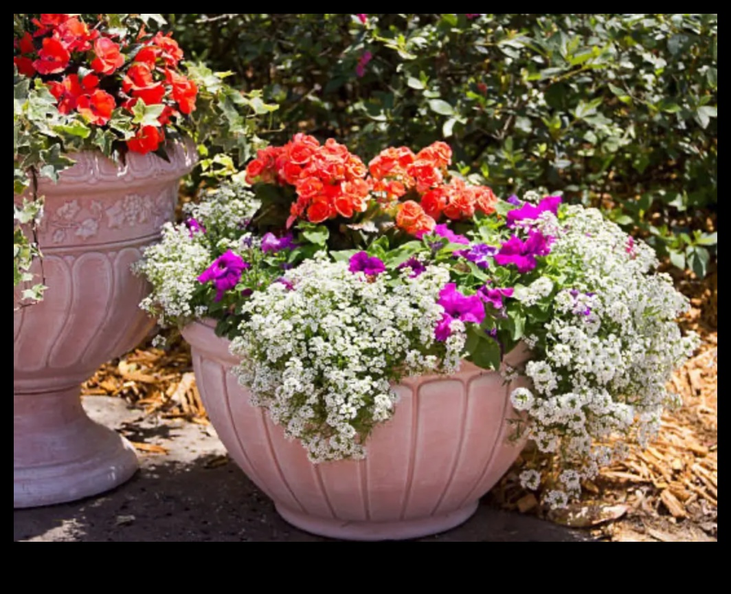 Bloom Brilliance: Top Tips for a Radiant Garden Paradise