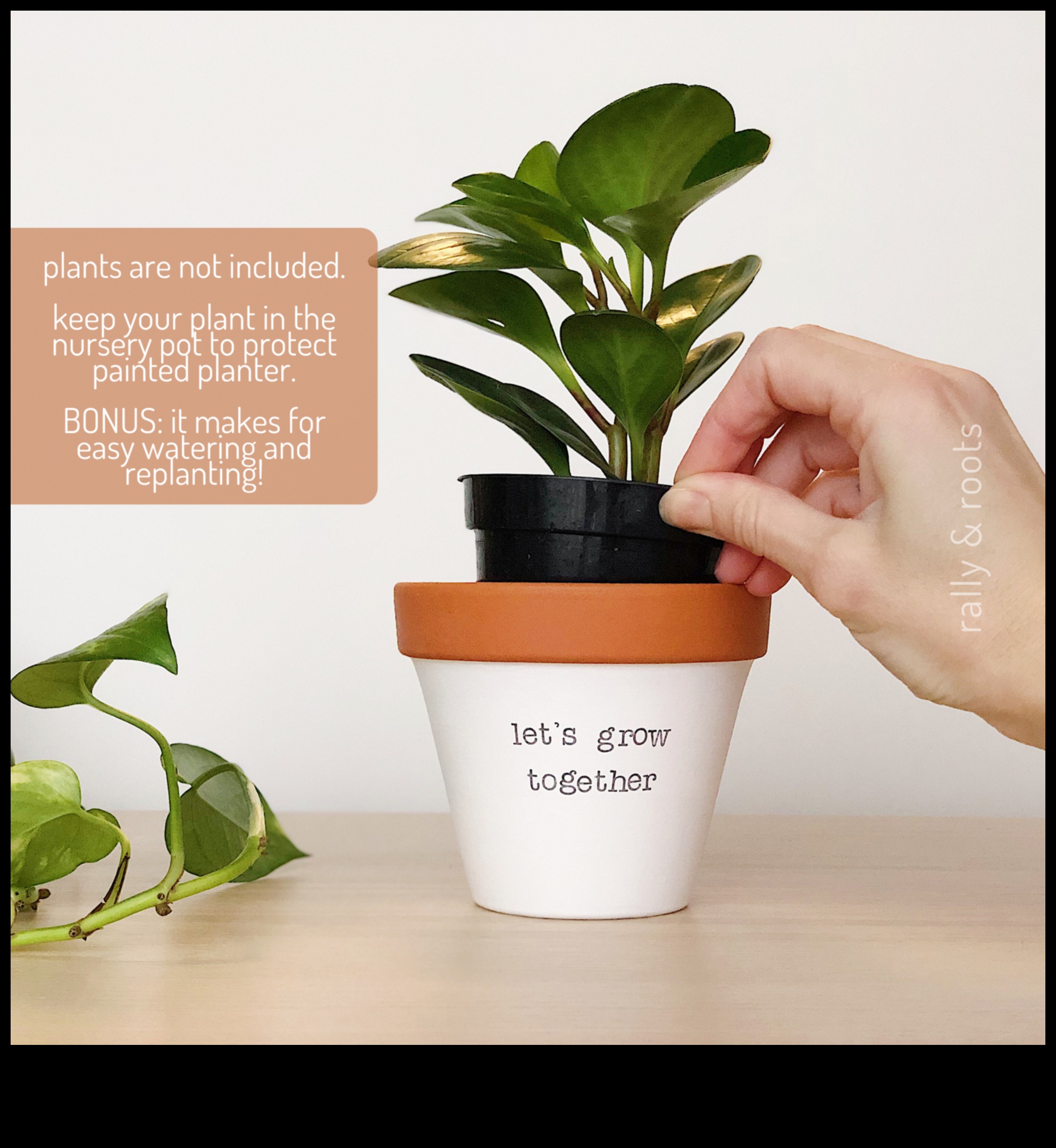 Bloom Where You Are Planted: Container Gardening Wisdom