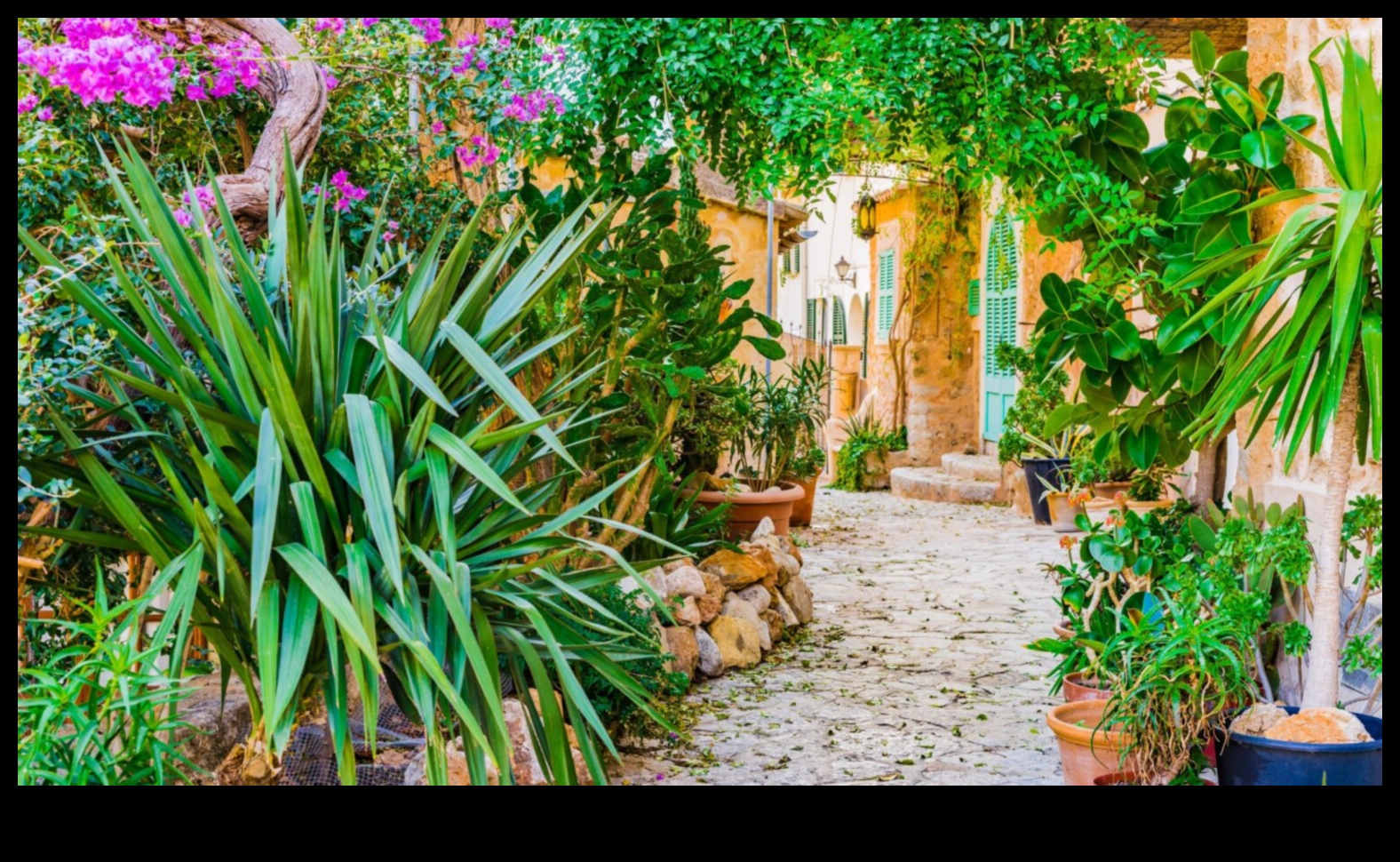 Bloom in Style: Discover Transformative Garden Art Essentials