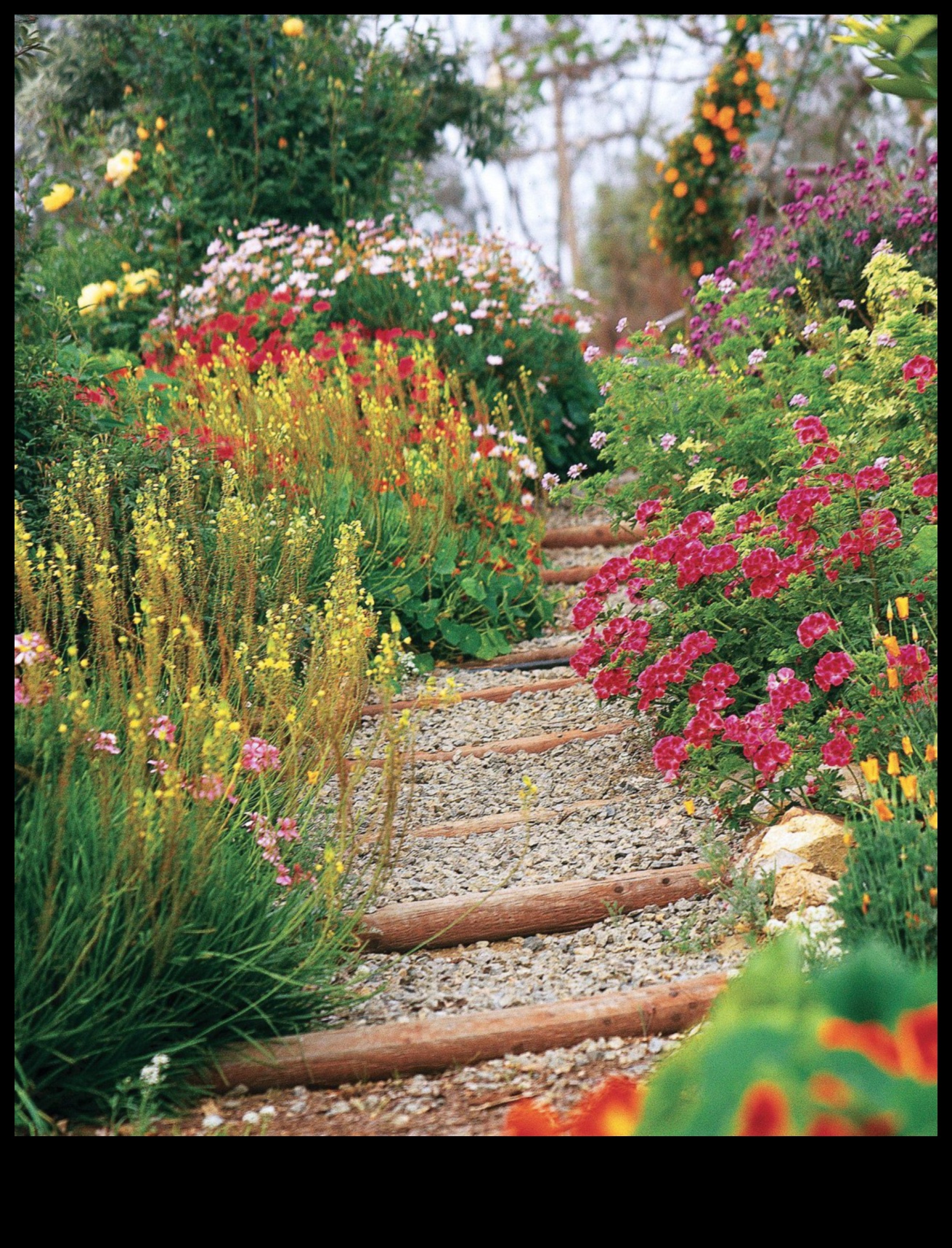 Bloom in Style: Elevate Your Garden with Decor Essentials