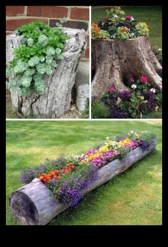 Bloom on a Budget: DIY Garden Projects That Dazzle