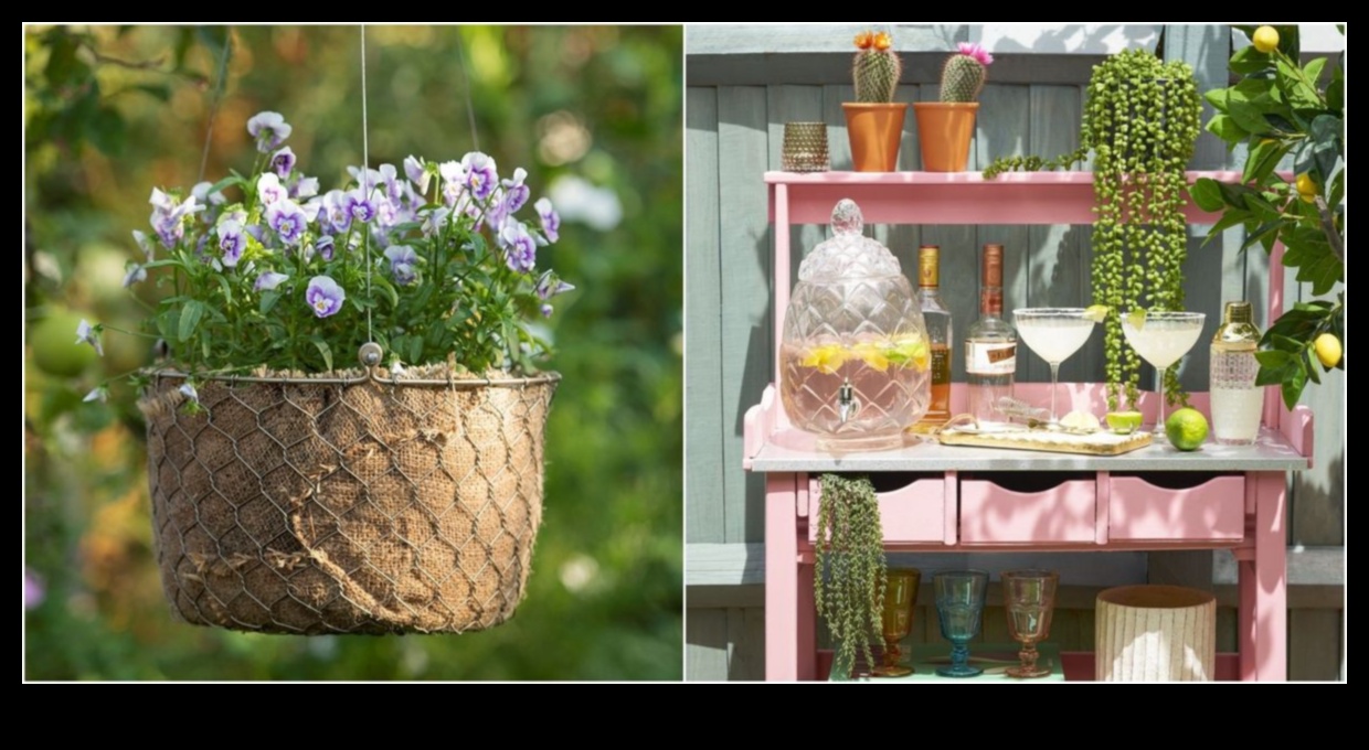 Bloom on a Budget: DIY Wonders for Your Thriving Garden