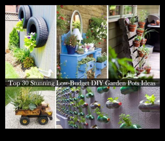 Bloom on a Budget: DIY Wonders for Your Thriving Garden