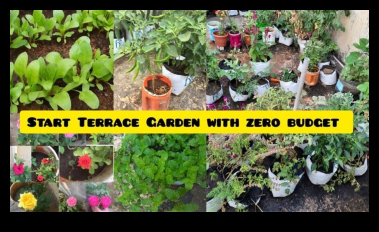 Bloom on a Budget: DIY Magic for a Thriving Garden