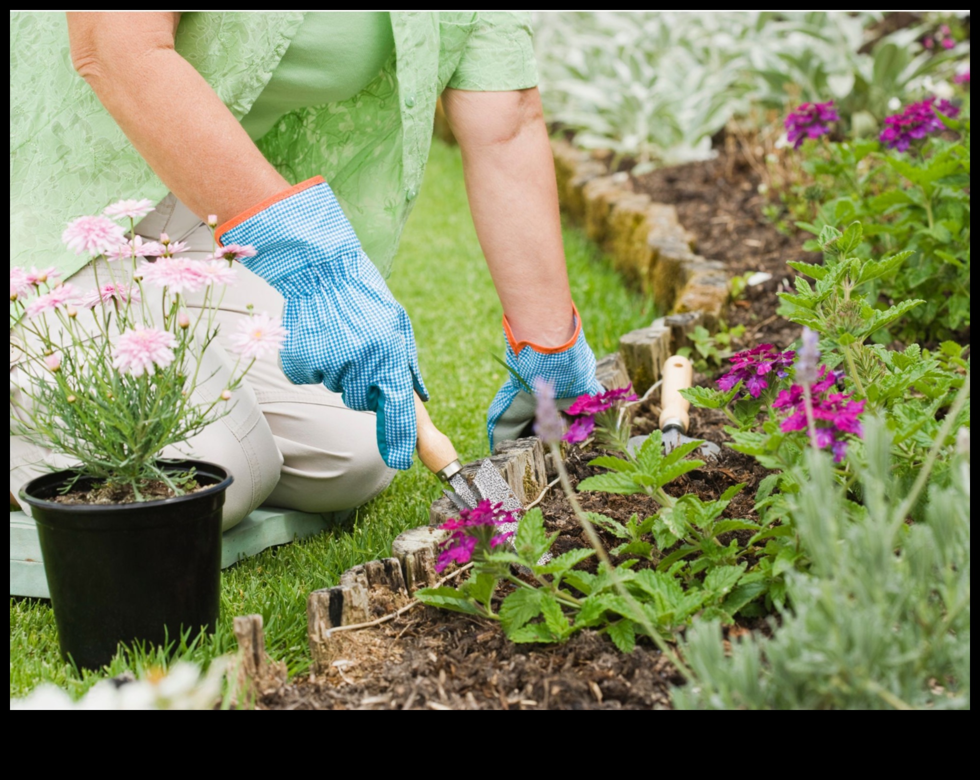 Bloom with Bliss: Essential Garden Tools Unveiled