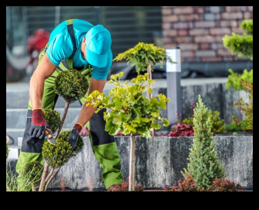 Bloom with Bliss: Essential Garden Tools Unveiled