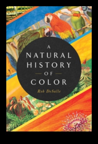 Blooms Through Ages: Historical Gardens in Different Eras