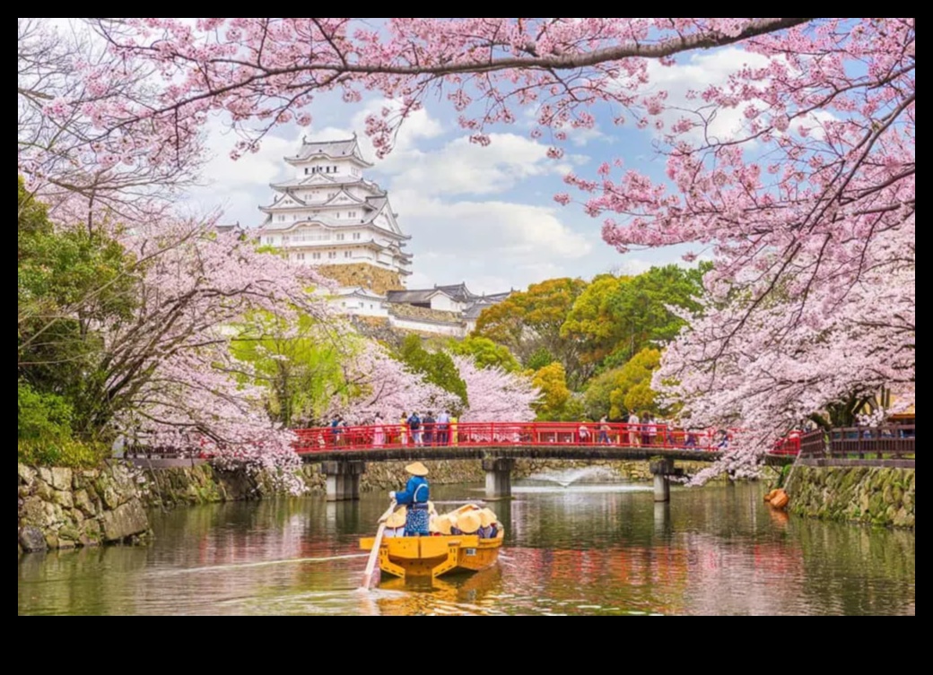 Blooms Beyond Borders: Exploring Horticulture Wonders