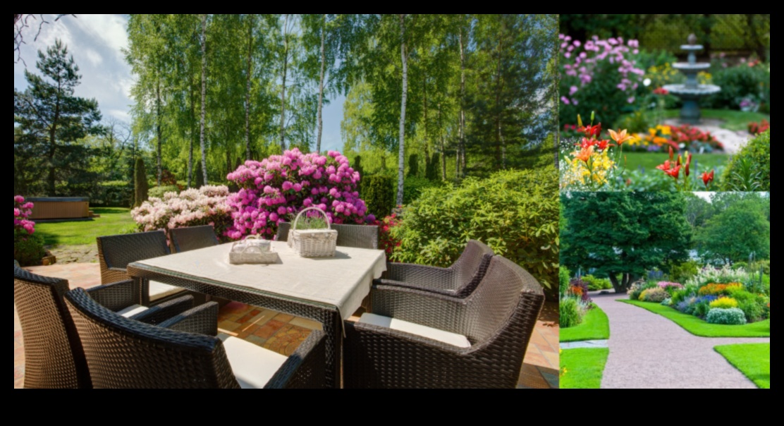 Blooms Unveiled: Essential Tips for Your Garden Oasis