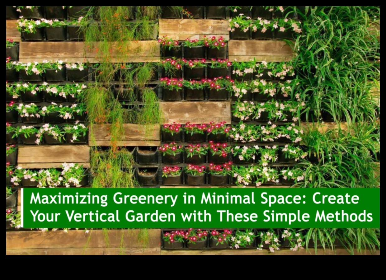 Blooms Unveiled: Insider Tips for Your Garden Oasis