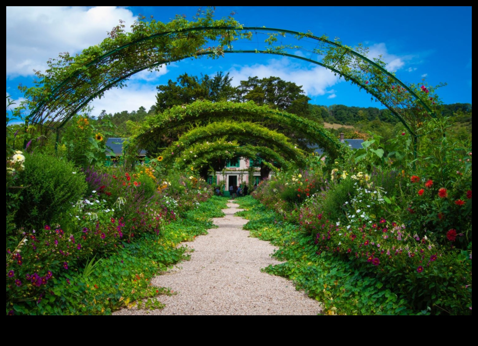 Blooms in Bloom: Tailoring Garden Maintenance to Perfection