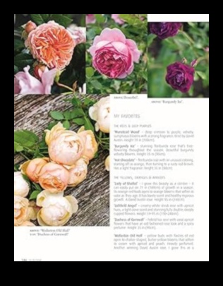 Blooms in Bloom: Tailoring Garden Care to Perfection