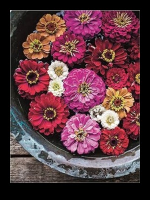 Blooms in Bloom: Tailoring Garden Care to Perfection