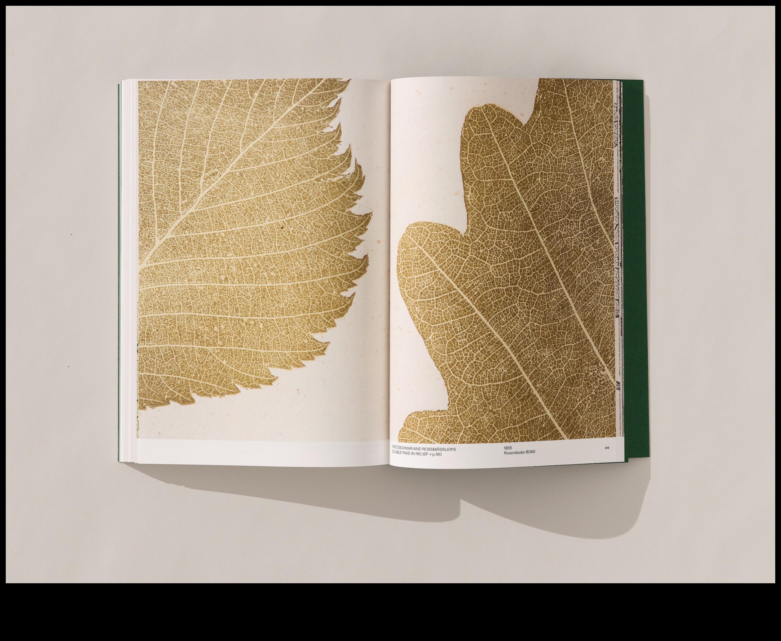 Blooms in Bronze: The Beauty of Sculptural Garden Art