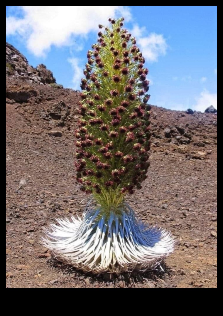 Blooms in Time II: A Continuing Chronological Journey Through Spring