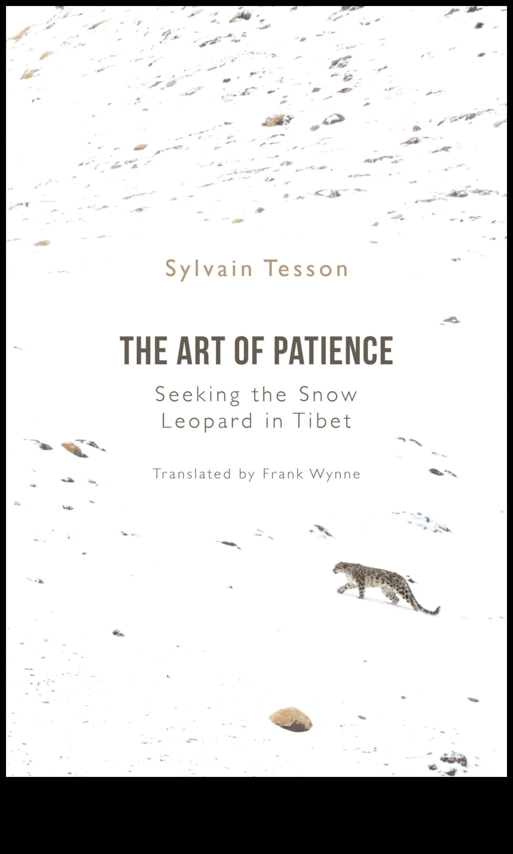 Blooms in Time II: A Continuing Chronological Journey Through Spring