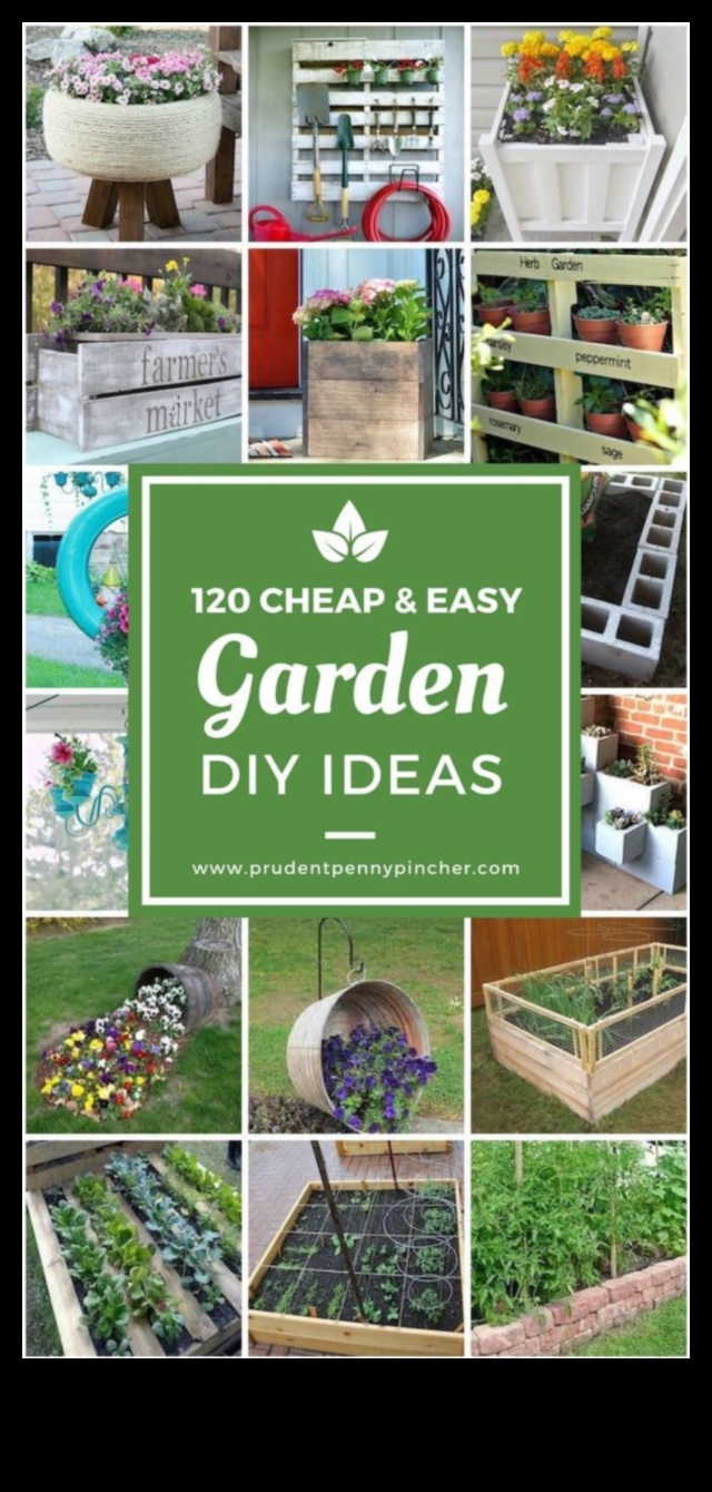 Blooms on a Budget: Inspiring and Affordable Garden DIYs