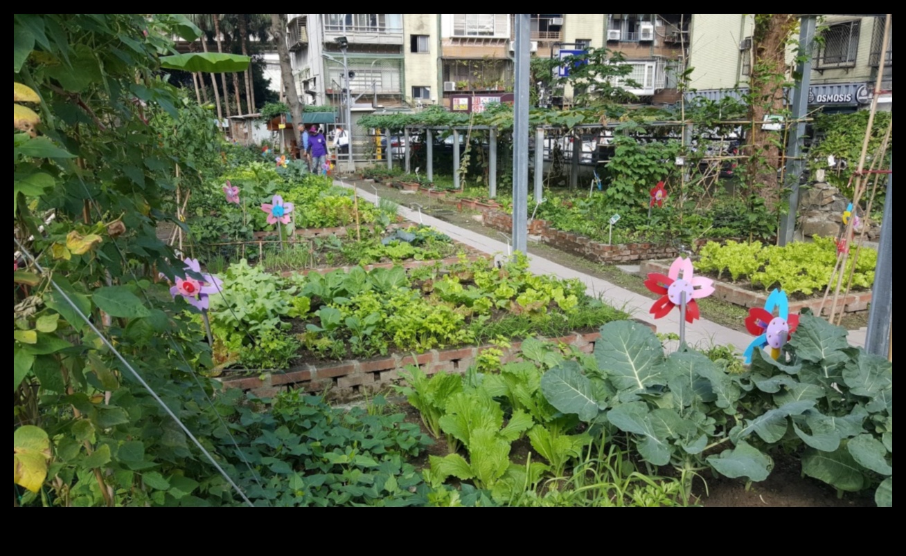 Blossom Amidst the Buildings: Urban Gardening Secrets