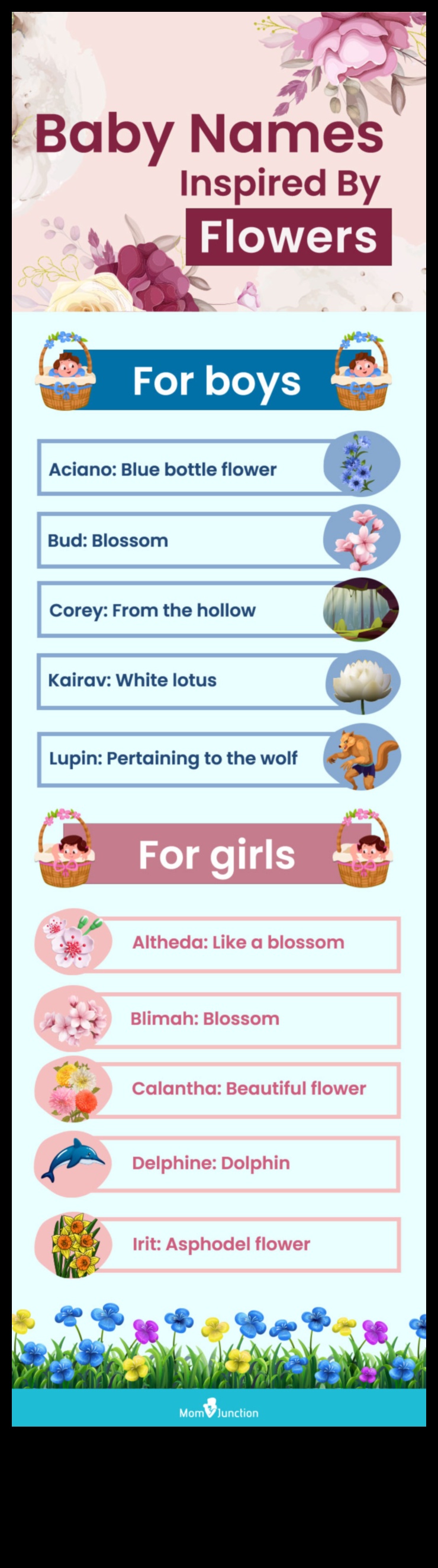 Blossom Ballet A Graceful and Delicate Guide to Flower Baby Names 1 Blossom Ballet: Graceful and Delicate Flower Baby Names