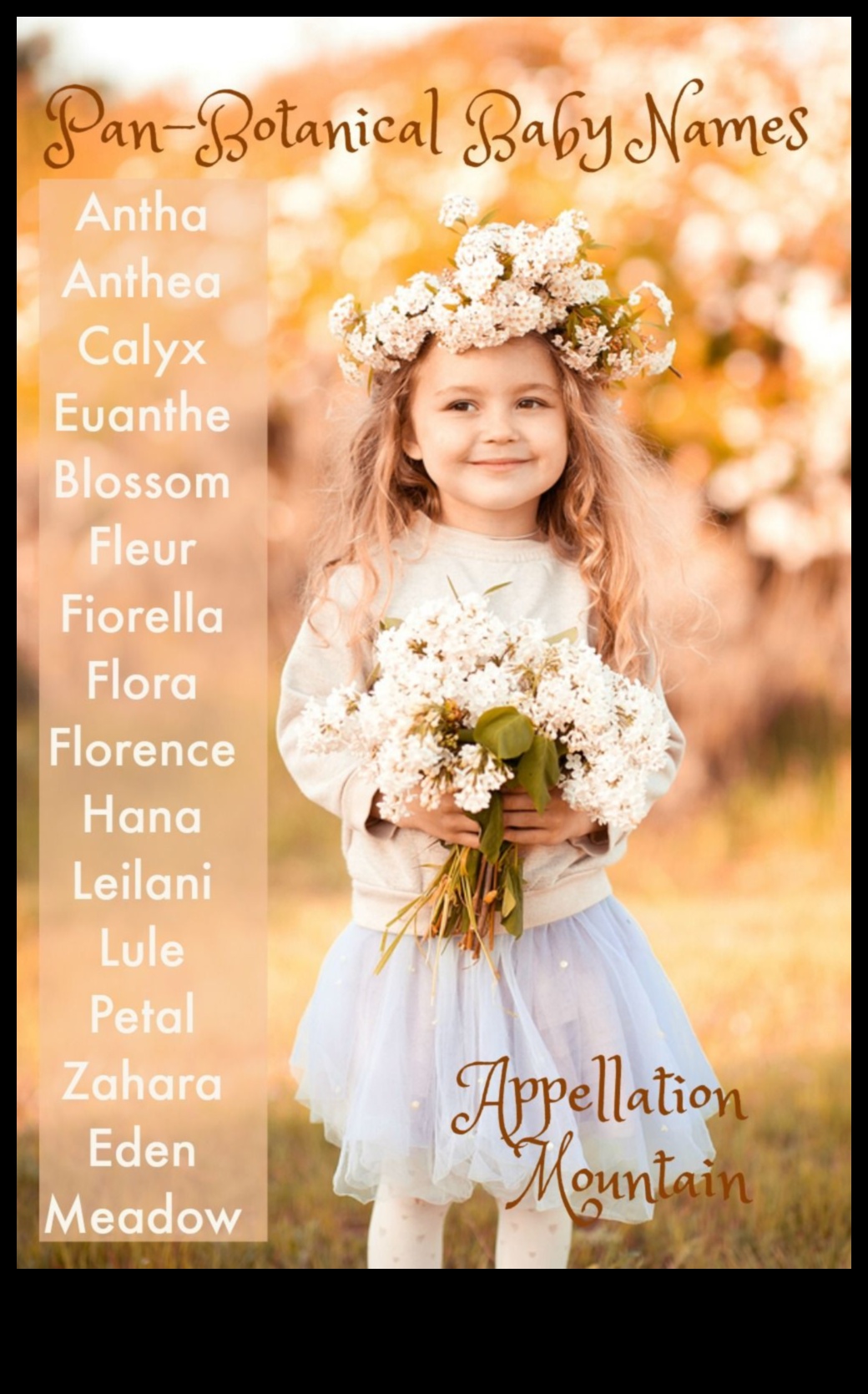 Blossom Ballet A Graceful and Delicate Guide to Flower Baby Names 3 Blossom Ballet: Graceful and Delicate Flower Baby Names