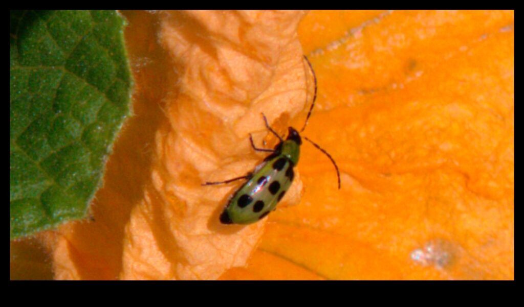 Blossom Battle How to Win Against Troublesome Garden Pests 1