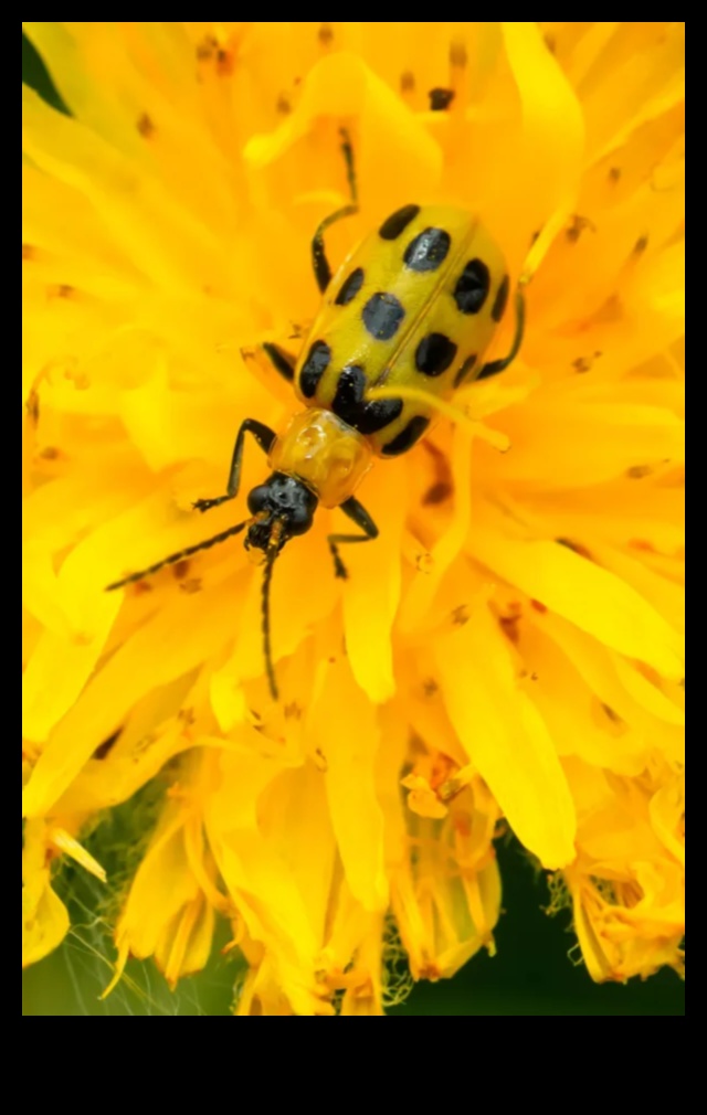 Blossom Battle: Winning Against Troublesome Garden Pests
