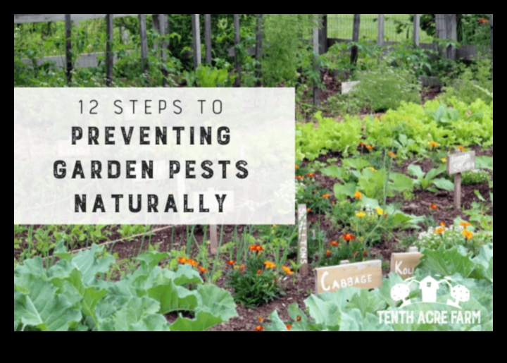 Blossom Battle: Winning Against Troublesome Garden Pests