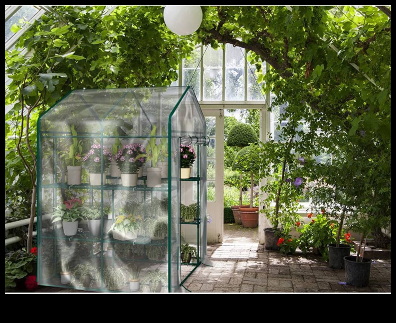 Blossom Beyond Borders: Your Greenhouse Oasis