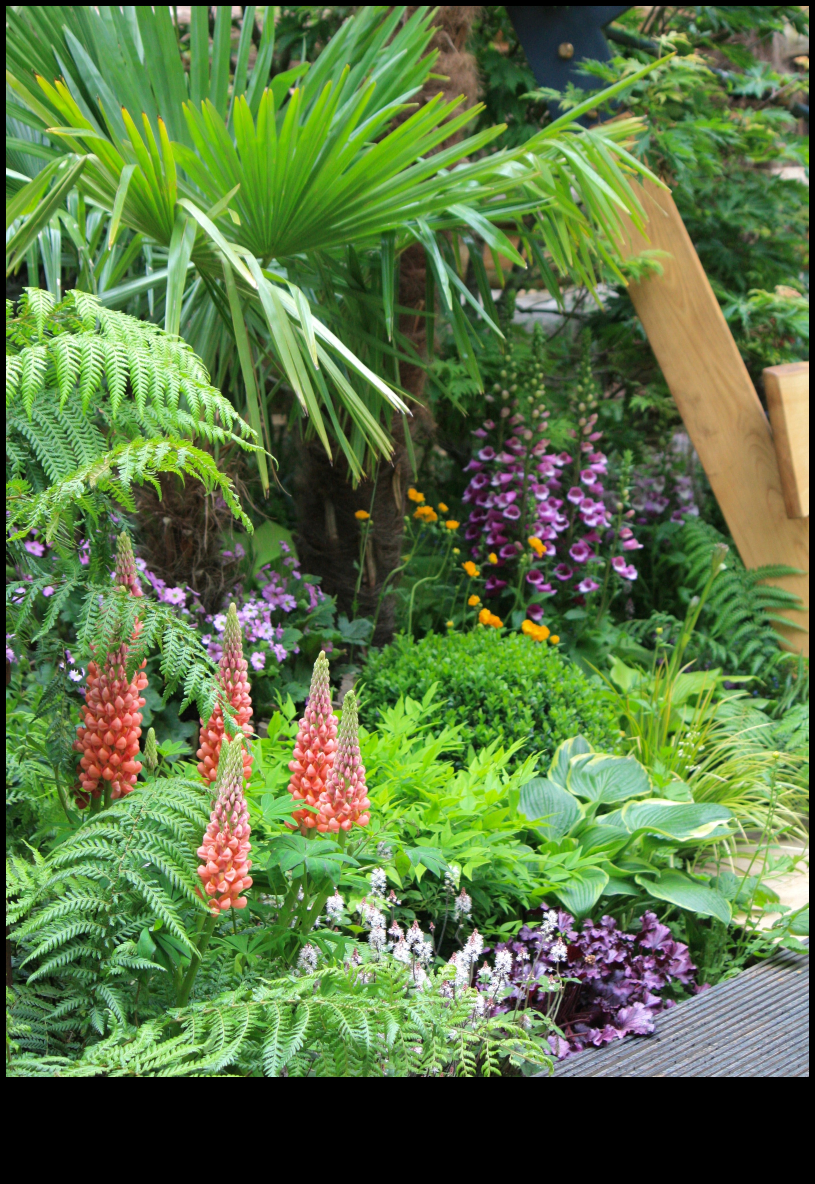 Blossom Beyond Limits: Explore Our Greenhouse Haven