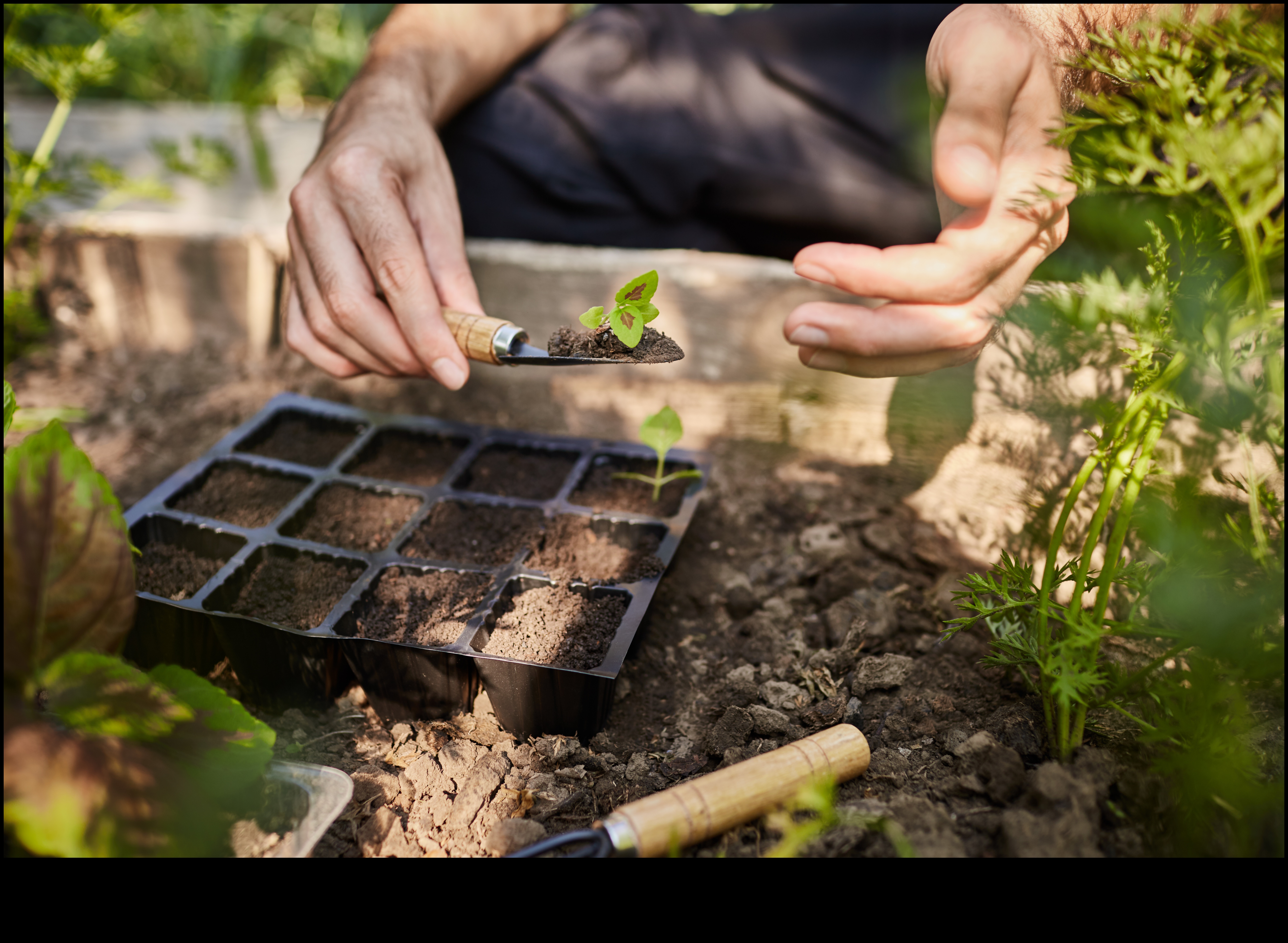 Blossom Beyond Limits: Must-Have Garden Equipment Defined