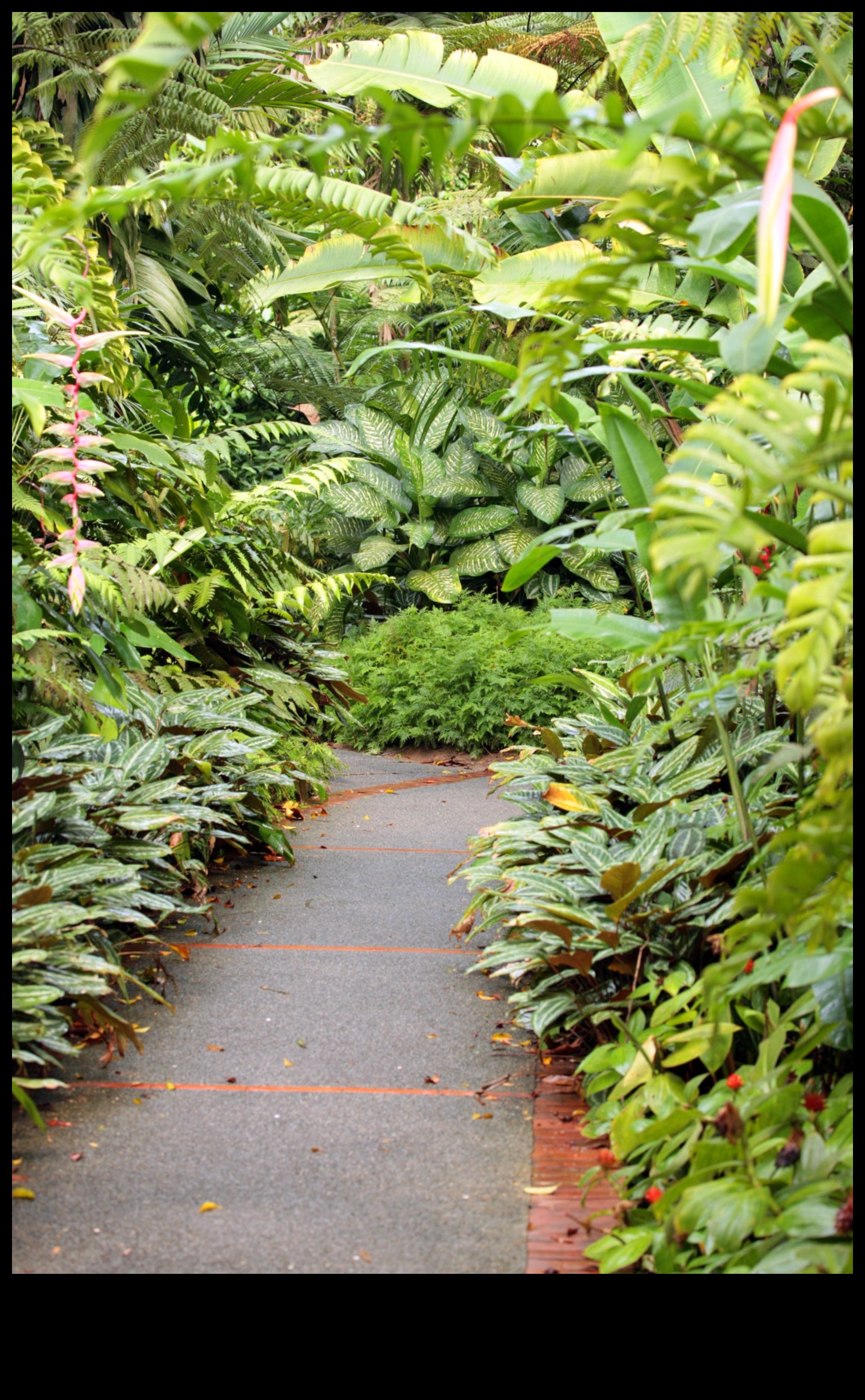 Blossom Bliss: Explore the Magic of Garden Decor Trends