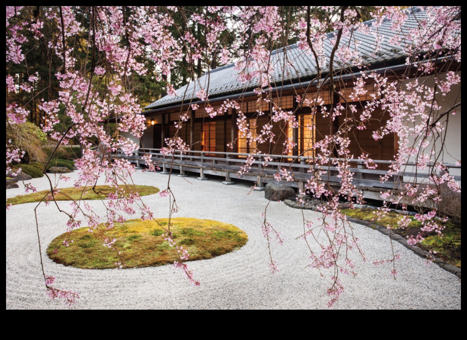 Blossom Bliss: Explore the Magic of Garden Art Trends