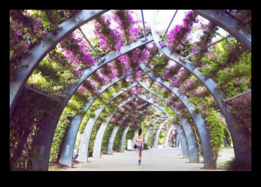 Blossom Bliss: Explore the Allure of Garden Decor Trends