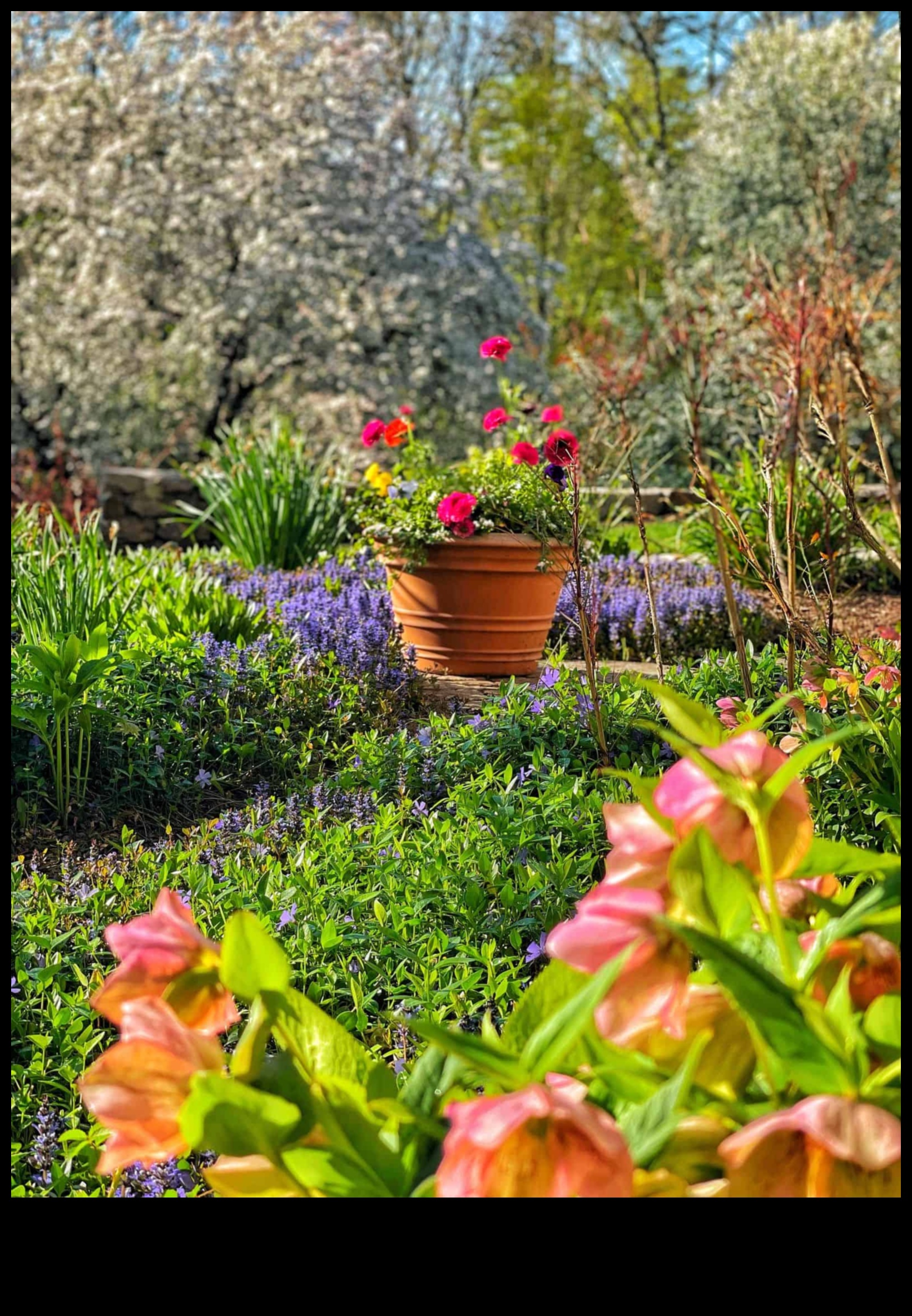 Blossom Bliss: Your Guide to Year-Round Garden Maintenance