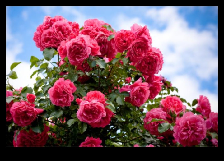 Blossom Bliss A Year-Round Guide to Growing Beautiful Gardens 1