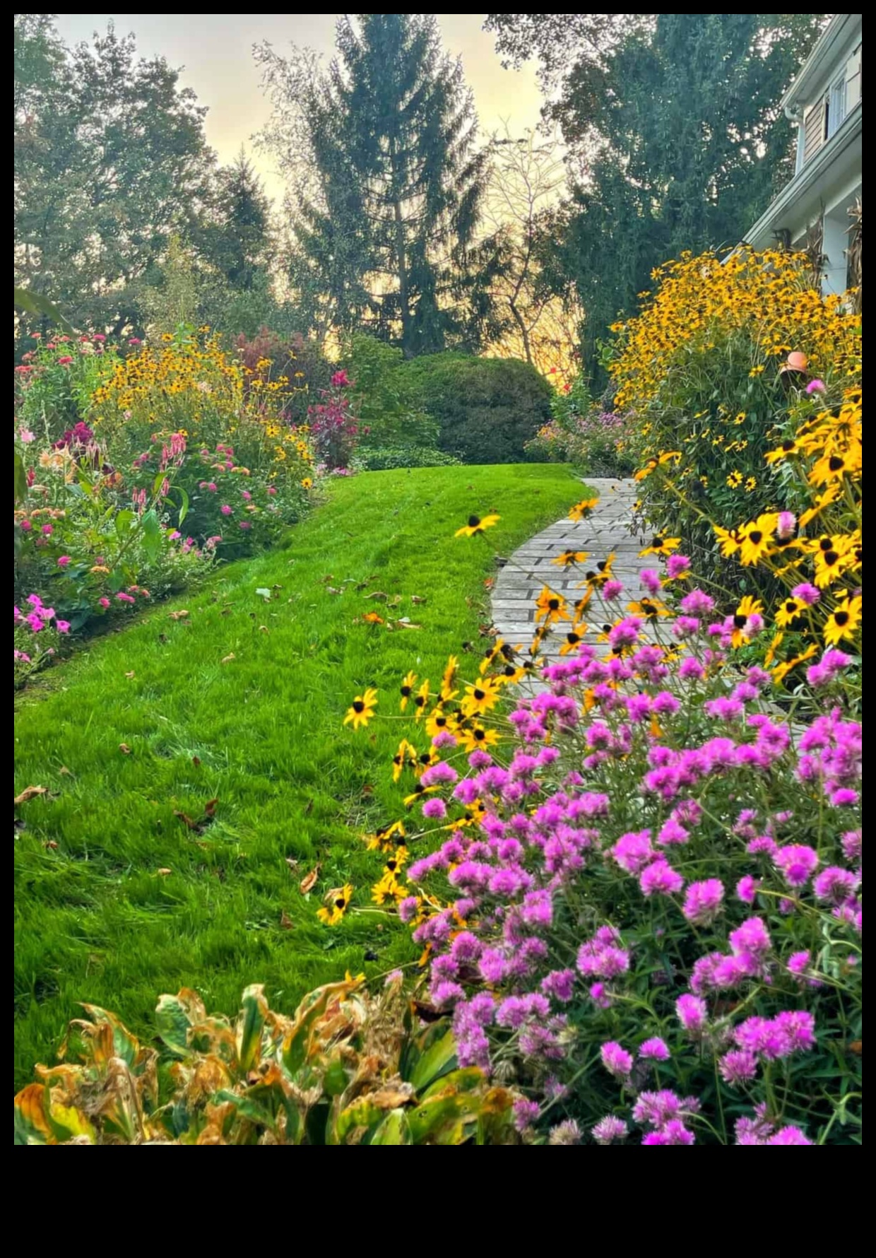 Blossom Bliss: Your Guide to Year-Round Garden Care