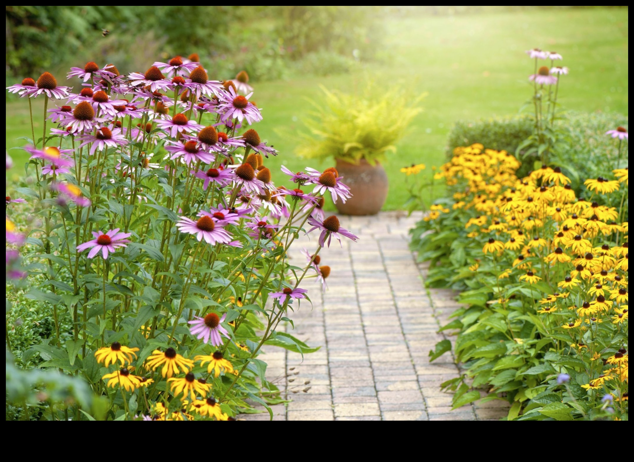 Blossom Bliss: Your Guide to Year-Round Garden Care