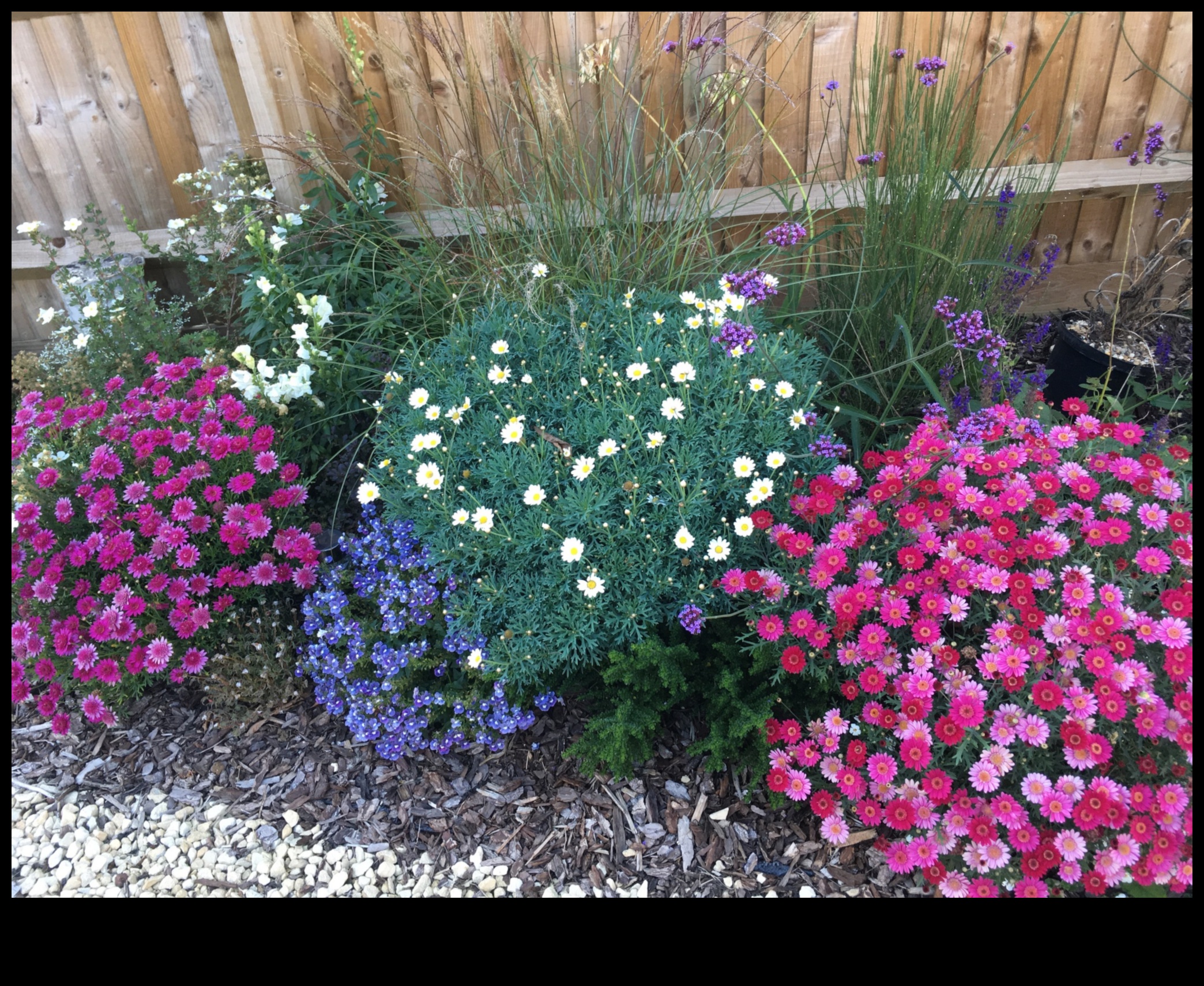 Blossom Bliss: DIY Projects for a Stunning Garden Haven