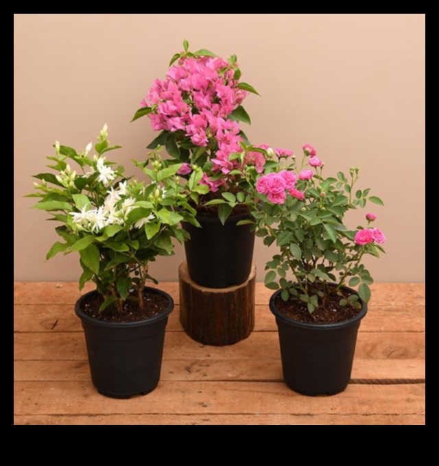 Blossom Boost: Floral Nursery Elegance